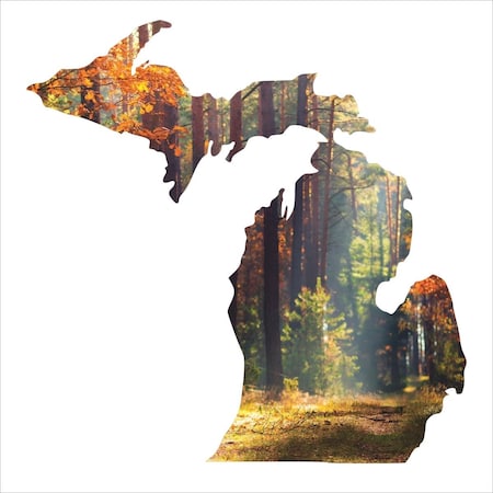 Precision Metal Art Precision Metal Art MICHIGAN-18FALL 18 in. State Michigan Silhouette Metal Laser Cut Wall Art With Vivid Image of the Fall Michigan Forest Scene MICHIGAN-18FALL